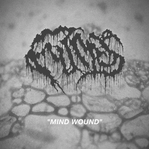 Mind Wound